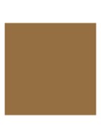 Eternité de Beauté - foundation SPF 15 - 370O - Olive Medium