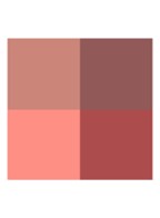 Palette de Beauté Quatuor - oogschaduw palette - 02 - Rosa Nitida
