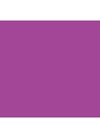 702 Anne Lilac