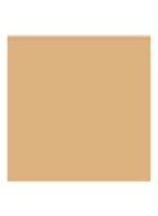 L'Essentiel Natural Glow SPF 20 Foundation - 02W Light Warm