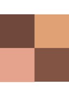 Ombres G - oogschaduw palette - Wild nudes
