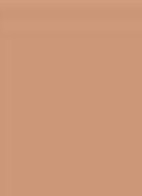 Terracotta bronzer - 03 MOYEN DORÉ / MEDIUM WARM