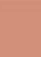 Terracotta bronzer - 02 MOYEN ROSÉ / MEDIUM COOL