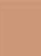 Terracotta Powder - bronzer - 03 MOYEN DORÉ / MEDIUM WARM