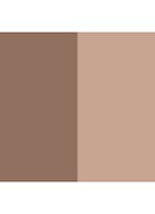 Nude Bronze Light