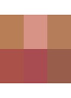 Lighting Edit Unlocked - Limited Editon poeder, blush, countour & highlight palette - Lotus Flower