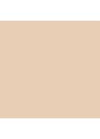 Mini Vanish Airbrush Concealer - travel size concealer - Birch