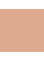 VANISH™ Airbrush concealer - Silk
