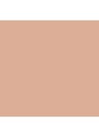 VANISH™ Seamless Finish Foundation Stick - 5.5 - Natural