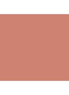 Multi-stick & Illuminator - 2-in-1 blush & liptint - Stella by Starlight (Rose Gold)