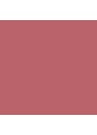 Multi-stick & Illuminator - 2-in-1 blush & liptint - At Last (Dusty Rose)