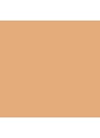Super Serum Skin Tint Broad Spectrum SPF30 - getint serum - Shela - ST8