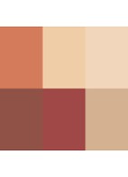 The Necessary Eyeshadow Palette - oogschaduw palette - Warm Nude