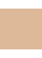 True Skin Serum Concealer - Yucca - TSSC-02