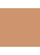 True Skin Serum Foundation - Maraca - SF9 Medium - Dark with Neutral Undertones