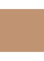 The Radiant SkinTint SPF30 - foundation - Light