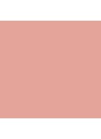 Blush Subtil - 02 Rose Sable