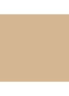 Teint Idole Ultra Wear All Over Concealer - 006 Beige Ocre