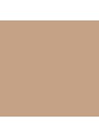 Teint Idôle Ultra Wear Stick Foundation - 04 Beige Nature