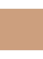 Teint Idôle Ultra Wear Stick Foundation - 051 Ch
