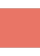 Blush Colour Infusion - Peach