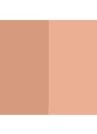 Bronze Color Infusion - bronzer - 10 Sainte-croix