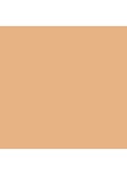 Flawless Lumière Radiance-Perfecting Foundation - 1N2 Vanillé