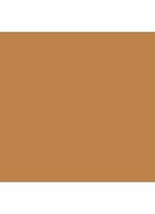 Flawless Lumière Radiance-Perfecting Foundation - 4N1 Suntan
