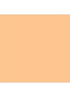 Matte Eye Colour - oogschaduw - Ginger