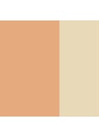Secret Camouflage - concealer - 1