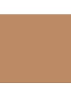Silk Crème Moisturizing Photo Edition Foundation  - 4N1 Suntan