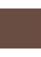 Silk Crème Moisturizing Photo Edition Foundation  - 6N1 Truffle