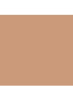 Smooth Finish Foundation Powder - poederfoundation - 3C1