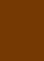  Tinted Moisturizer Light Revealer Natural Skin Illuminator  - getinte dagcrème - 6N1 MOCHA