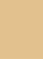 Tinted Moisturizer Natural Dewy - getinte dagcrème - 1W BLONDE
