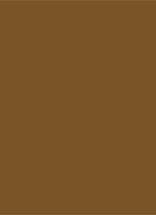 Tinted Moisturizer Natural Dewy - getinte dagcrème  - 5W TERRACOTTA