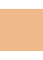 Tinted Moisturizer SPF30 - getinte dagcrème - 1W1 PORCELAIN