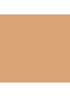 Tinted Moisturizer SPF30 - getinte dagcrème - 2N1 NUDE