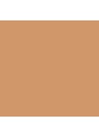 Tinted Moisturizer SPF30 - getinte dagcrème - 4C1 ALMOND
