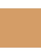 Tinted Moisturizer SPF30 - getinte dagcrème - 4W1 TAWNY