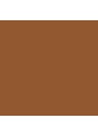 Tinted Moisturizer SPF30 - getinte dagcrème - 6W1 GANACHE
