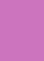 Dazzlelips Crayon lippotlood - Lunar Violet