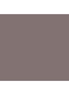 Eye Brows Big Boost Fibre Gel - wenkbrauwgel - Thunder