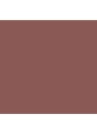 Lip Pencil - lipliner - Spice