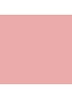 Mineralize Blush - Dainty