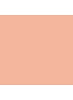 Powder Blush - Gingerly