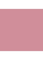 Powder Blush - Desert Rose