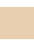 Pro Longwear Paint Pot - crème oogschaduw - Soft Ochre