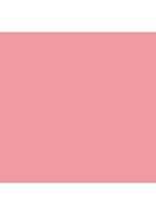 Small Eye Shadow - losse oogschaduw - In Living Pink