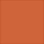 Studio Finish SPF 35 Concealer - NW55